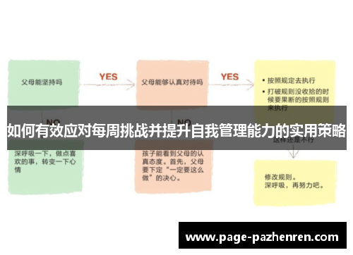 如何有效应对每周挑战并提升自我管理能力的实用策略