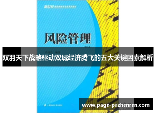 双羽天下战略驱动双城经济腾飞的五大关键因素解析