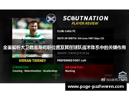 全面解析大卫路易斯司职位置及其在球队战术体系中的关键作用 全面解析大卫路易斯司职位置及其在球队战术体系中的关键作用